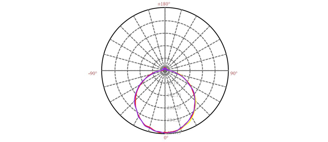 c1.jpg