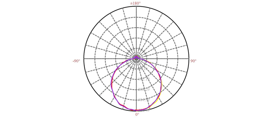 c1.jpg
